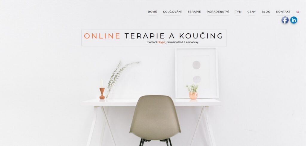Online terapie